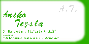 aniko tezsla business card